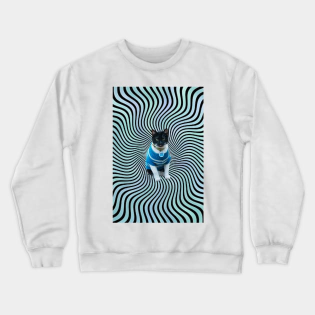 Trippy Kitty Crewneck Sweatshirt by stermitkermit